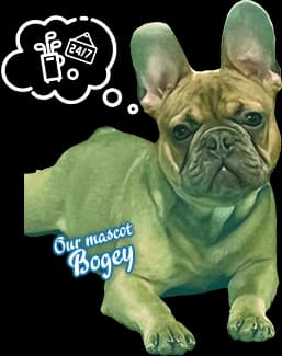 image of bogey, our mascot!