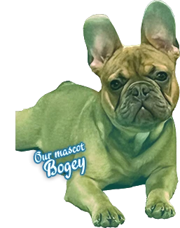 image of bogey, our mascot!