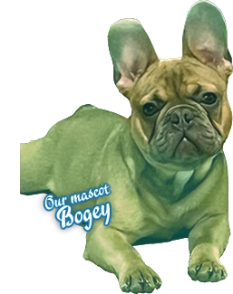 Bogey, our mascot